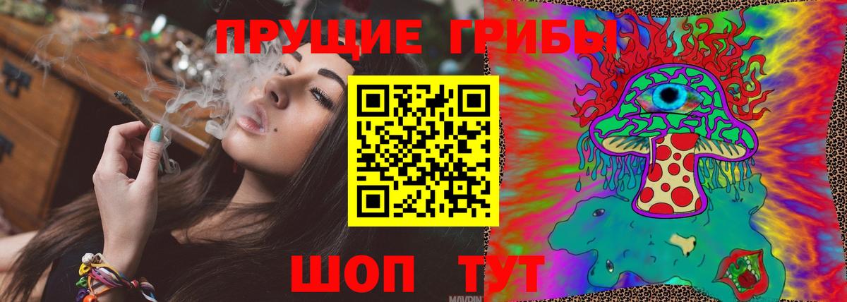 Тайшет  Галлюциногенные грибы мицелий  Вход с VPN  купить наркотики цена  Псилоцибиновые грибы GOLDEN TEACHER 